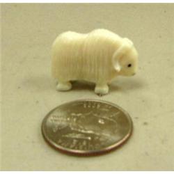 CHOICE on 11 musk ox by Robert Kokuluk (2)