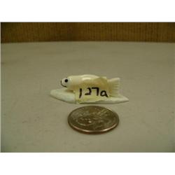 CHOICE on 5: ivory seal (2)