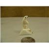 Image 2 : CHOICE on 5: ivory polar bear (2)