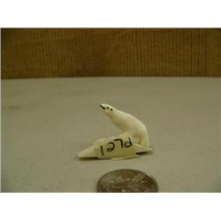 CHOICE on 5: ivory polar bear (2)