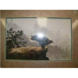 CHOICE on 7 shrink wrapped prints (229)