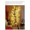 Image 1 : lights