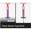Image 1 : Pogo Stick