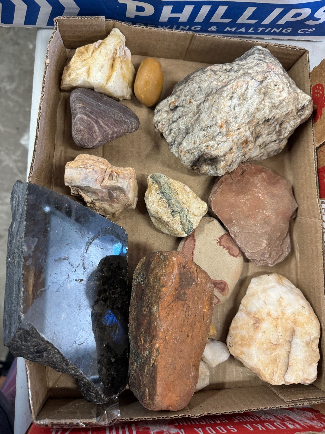 Collectable Rocs collection of rocks
