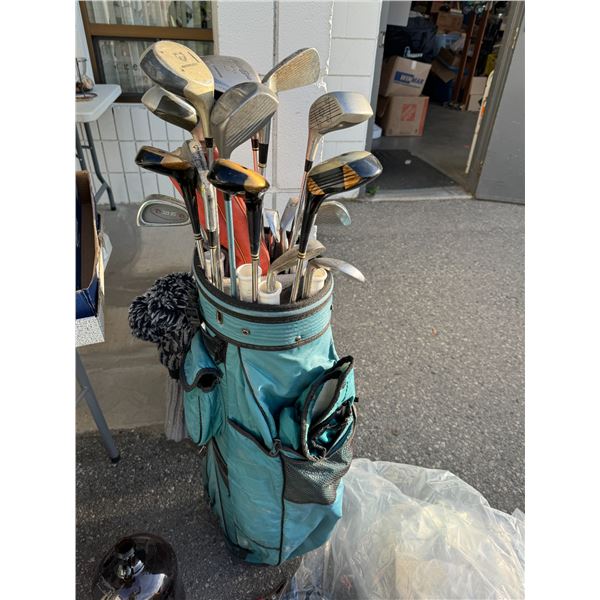 Golf clubs in bag