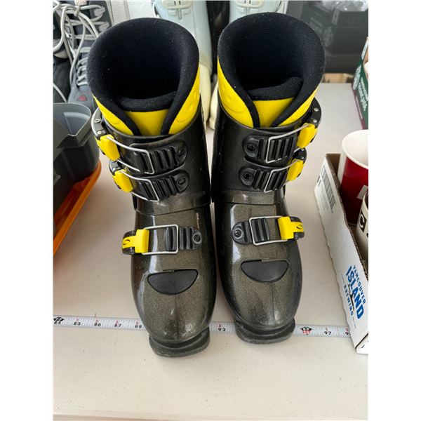 Nordica ski boots