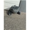 Image 1 : Cushion