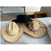 Image 1 : hats