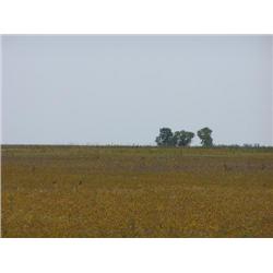 The NW/4 of Sec. 13, Twp. 27 N., R7 W.I.M., Grant Co., OK.