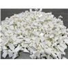 Image 1 : CABINET SHELF SUPPORT,  WHITE PLASTIC