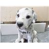 Image 1 : DALMATION PUPPY STATUE
