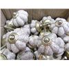 Image 1 : REPLICA VINTAGE CABINET KNOB  X  18