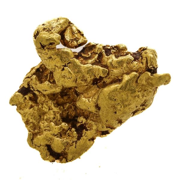 1.31 Gram Sinaloa, Mexico Gold Nugget