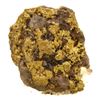 Image 1 : 1.88 Gram Sinaloa, Mexico Gold Nugget