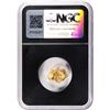 Image 2 : 2.35 Gram Sanoyta Mexico Gold Nugget NGC Vaultbox Unvaulted