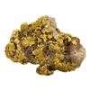 Image 1 : 1.44 Gram Sinaloa, Mexico Gold Nugget