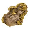 Image 2 : 1.44 Gram Sinaloa, Mexico Gold Nugget