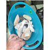Image 5 : Large Basket Of Shells