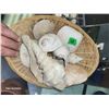 Image 1 : Wicker Basket Of Shells & Horse Conch Fossil