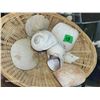 Image 4 : Wicker Basket Of Shells & Horse Conch Fossil