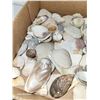 Image 3 : 2Lb Box Of Shells