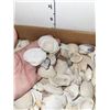 Image 6 : 2Lb Box Of Shells