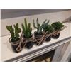 Image 2 : 6" Five Faux Mini Succulents