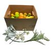 Image 8 : Group of assorted set dec faux fruits (The Good Doctor) & artificial decorative plants