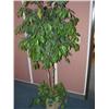 Image 1 : ARTIFICIAL PLANT