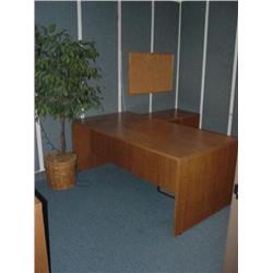 CONTENTS OF ROOM, (3) TABLES, FILING CABINET, PLANT