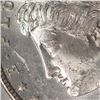 Image 3 : 1887 $1 Vam 12 Alligator Eye Morgan PCGS MS62