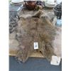 Image 1 : Wallaby Skin Rug