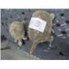 Image 1 : Concrete Turtles - 2