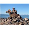 Image 1 : 10 Day Desert Big Horn hunt with Sierra Madre Hunting in Mexico