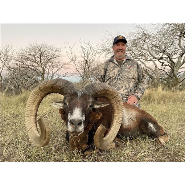 Experience the Pinnacle of Safari Hunting in Argentina with TGB Outfitters
