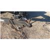 Image 6 : 2001 Rainbow Bumper Hitch Trailer 20ft Above Wheels Flat Deck Tandem with Ramps - Has TOD
