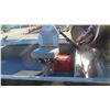 Image 8 : 1984 Lund Mr. Pike Aluminum Boat 18ft (Running Condition)  with 2 Swivel Seats , 1999 Mercury 50 HP 