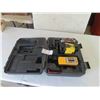 Image 1 : Stanley RL100 Laser with Case