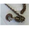 Image 3 : Aluminum Chain Hoist 