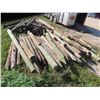 Image 1 : 35 Treated Posts Most are 6ft Some are 8ft 