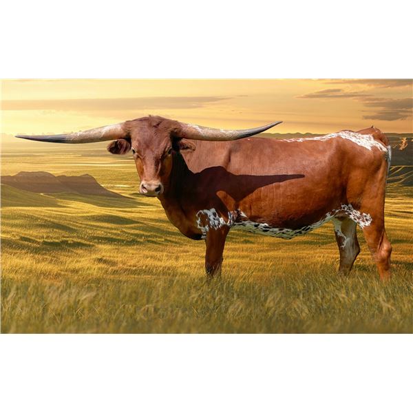 SCRATCH: GLR CONCEALED CRACK