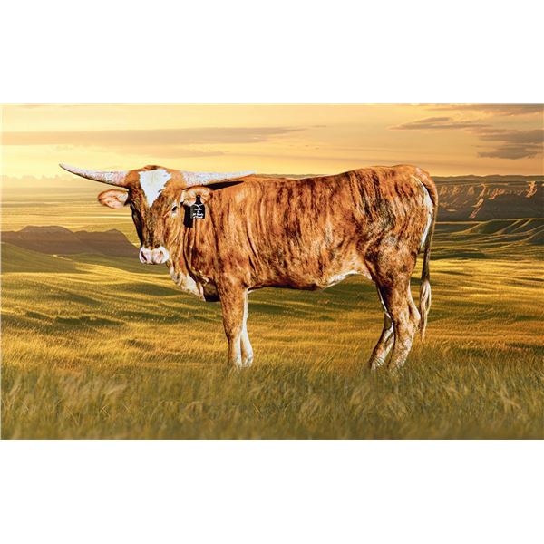 4L 20 Shades of Brindle