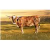 Image 1 : 4L 20 Shades of Brindle