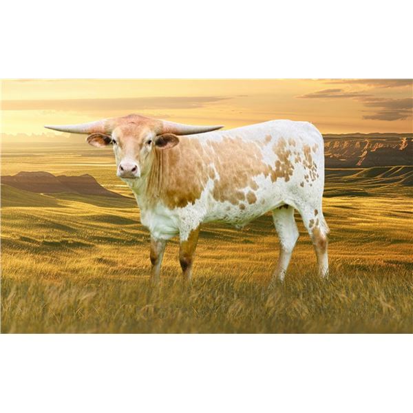 JM5 MYTHICAL MERMAID