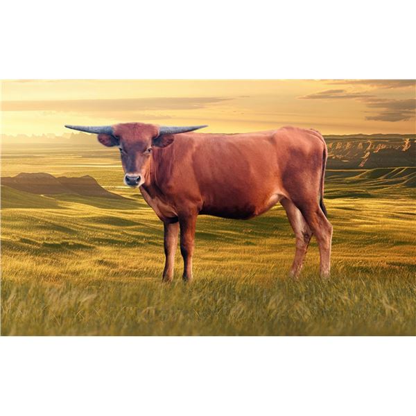 4C AWESOME BEIN LUCKY