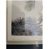 Image 3 : Jean-Luc Grondin "Morning Dove" Framed and Matted Print