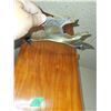 Image 3 : Brass Duck