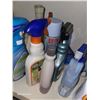 Image 17 : Contents of Upstairs Linen Closet - No Linen just HBA and Cleaners and Such