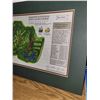 Image 2 : James Patterson Izatt Signed Augusta National Golf Club Course Architect Map - Measures 16x12" Matte