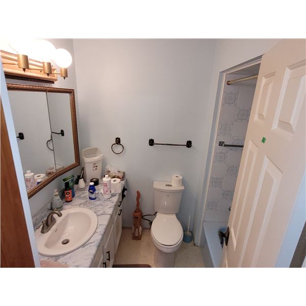 Contents of Bathrooom - Must Take Everything Not Fastened -MUST SEE ALL PHOTOS